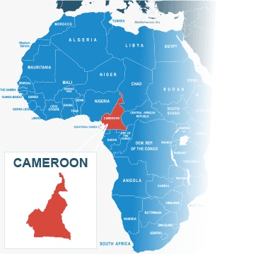 Cameroon imports